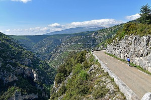 Road along the Gorges of the Nesque